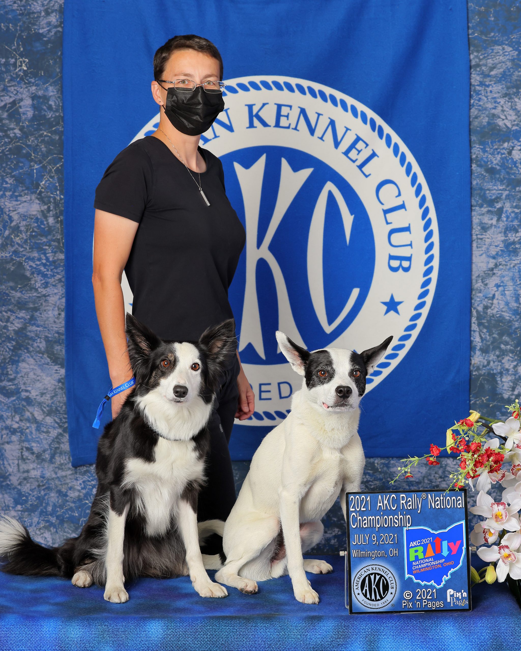 Dog Show Image, Dog Agility, Dog Obedience or Rally, Portrait or Candid