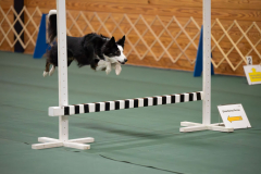 IMG_0335-Enhanced-NR