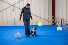 IMG_0884-Enhanced-NR-2