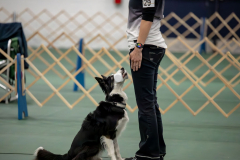 IMG_2139-Enhanced-NR