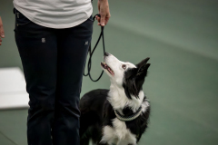 IMG_2176-Enhanced-NR